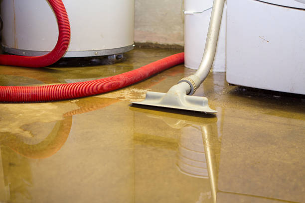 Best Water damage restoration insurance claims  in Sto Brook, NY