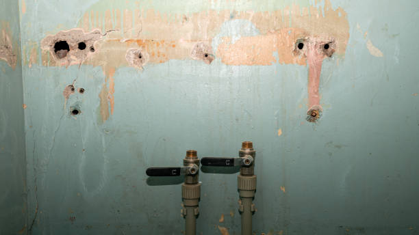 Best Water damage restoration services  in Sto Brook, NY